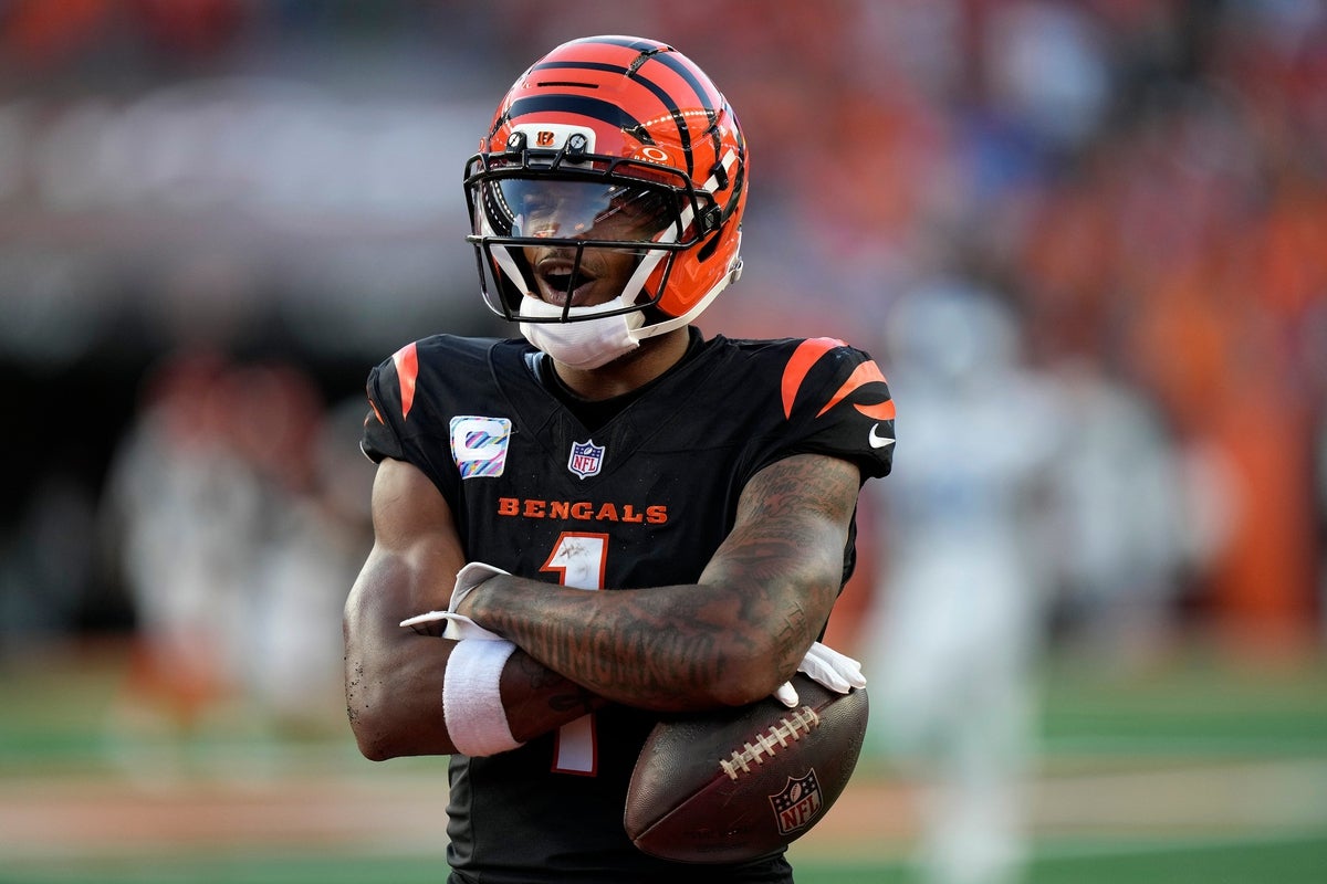 Cincinnati Bengals wide receiver Ja