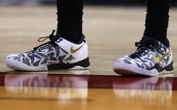 NBA: Charlotte Hornets at Miami Heat