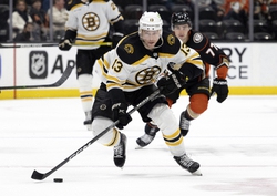 Bruins vs Ducks Prediction 2/22/25 NHL Picks Today