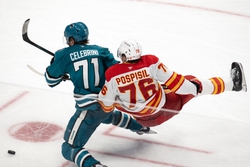 Flames vs Sharks Prediction 2/23/25 NHL Picks Today