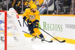 Predators vs Panthers Prediction 2/25/25 NHL Picks Today