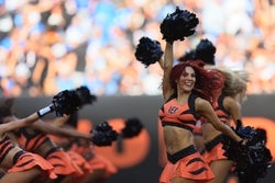 Steelers vs Bengals Prediction 11/16/25 NFL Picks Today