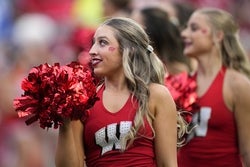 Wisconsin vs Illinois Prediction Football Picks Today 11/22/25