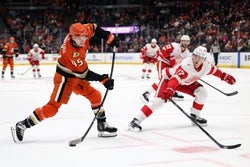 Ducks vs Red Wings Prediction 11/13/25 NHL Picks Today