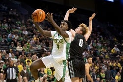 South Dakota State vs Oregon Prediction 11/12/25 College Basketball Picks Today