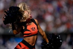 Bengals vs Ravens Prediction 12/14/25 NFL Picks Today