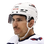 Garnet Hathaway logo
