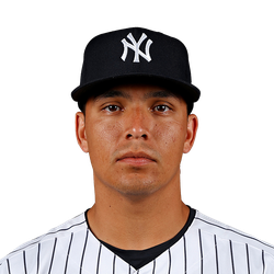 Anthony Seigler logo