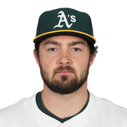 Shea Langeliers logo