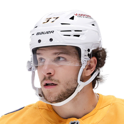 Nick Blankenburg logo