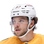 Nick Blankenburg logo