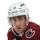Brock Nelson logo