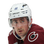 Brock Nelson logo