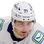 Nils Hoglander logo