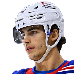 Braden Schneider logo