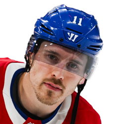 Brendan Gallagher