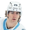 Dmitri Simashev logo