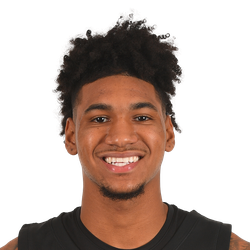 Dillon Mitchell logo