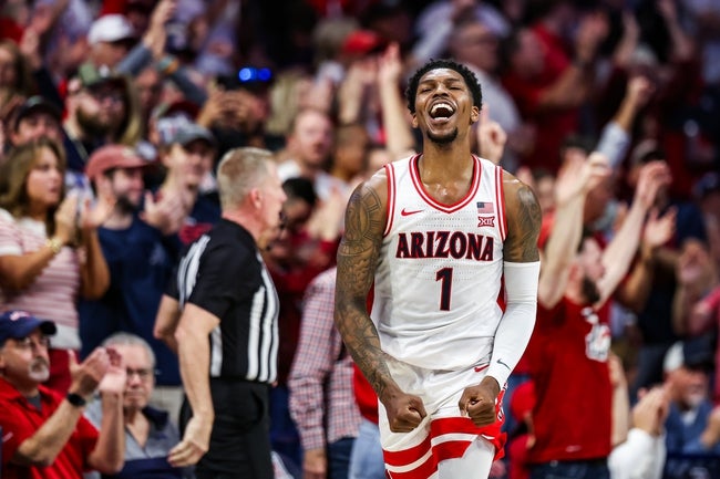 Arizona vs Baylor Prediction 2/17/25 College Basketball Picks PickDawgz